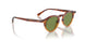 175452 - Brown - Green C