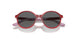 306687 - Transparent Dark Red - Dark grey