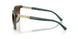 308613 - Green - Gradient Brown
