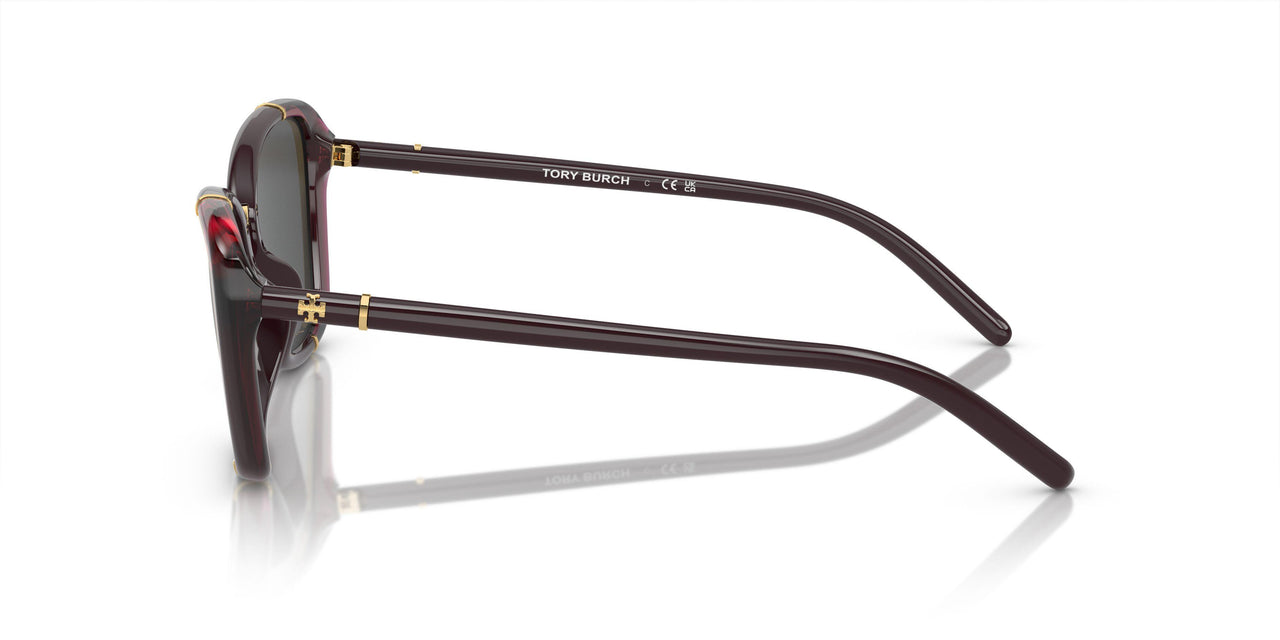 194887 - Violet - Dark Grey
