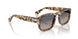 1056M3 - Tortoise - Polar Gradient Grey