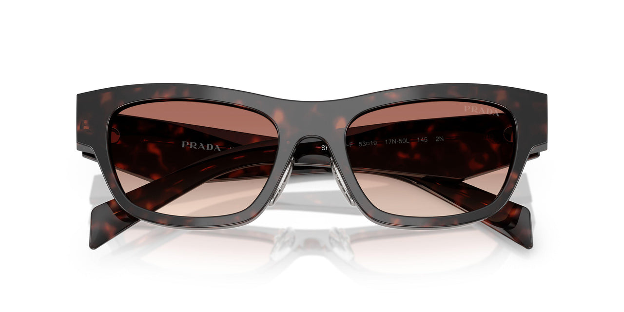 17N50L - Tortoise - Light Brown Gradient Bordeaux