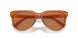 15T2Z1 - Beige - Brown