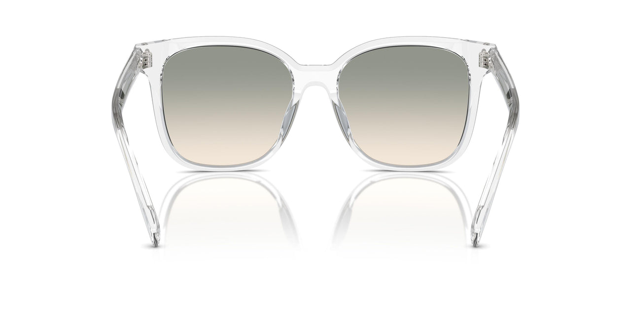 19842C - Transparent - Light Brown Gradient Light Grey