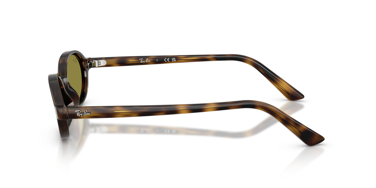 1359/2 - Tortoise - Green