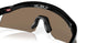 922908 - Black - Prizm 24k