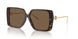 196473 - Tortoise - Dark Brown