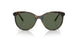 W65671 - Havana - Dark Green