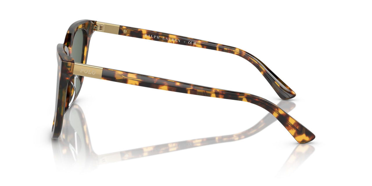607871 - Tortoise - Dark Green