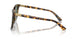 607871 - Tortoise - Dark Green