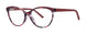 MODERN PLASTICS II ONLOOKER Eyeglasses