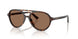 500273 - Tortoise - Dark Brown