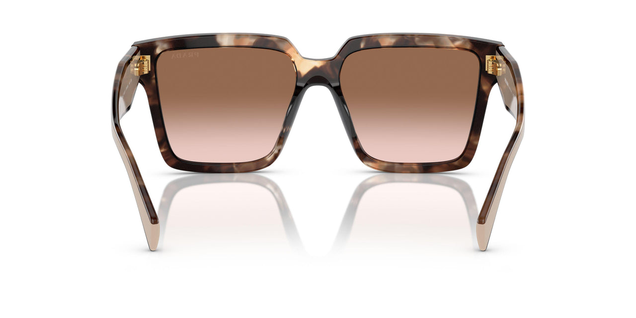 07R0A6 - Tortoise - Brown Gradient