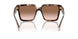 07R0A6 - Tortoise - Brown Gradient