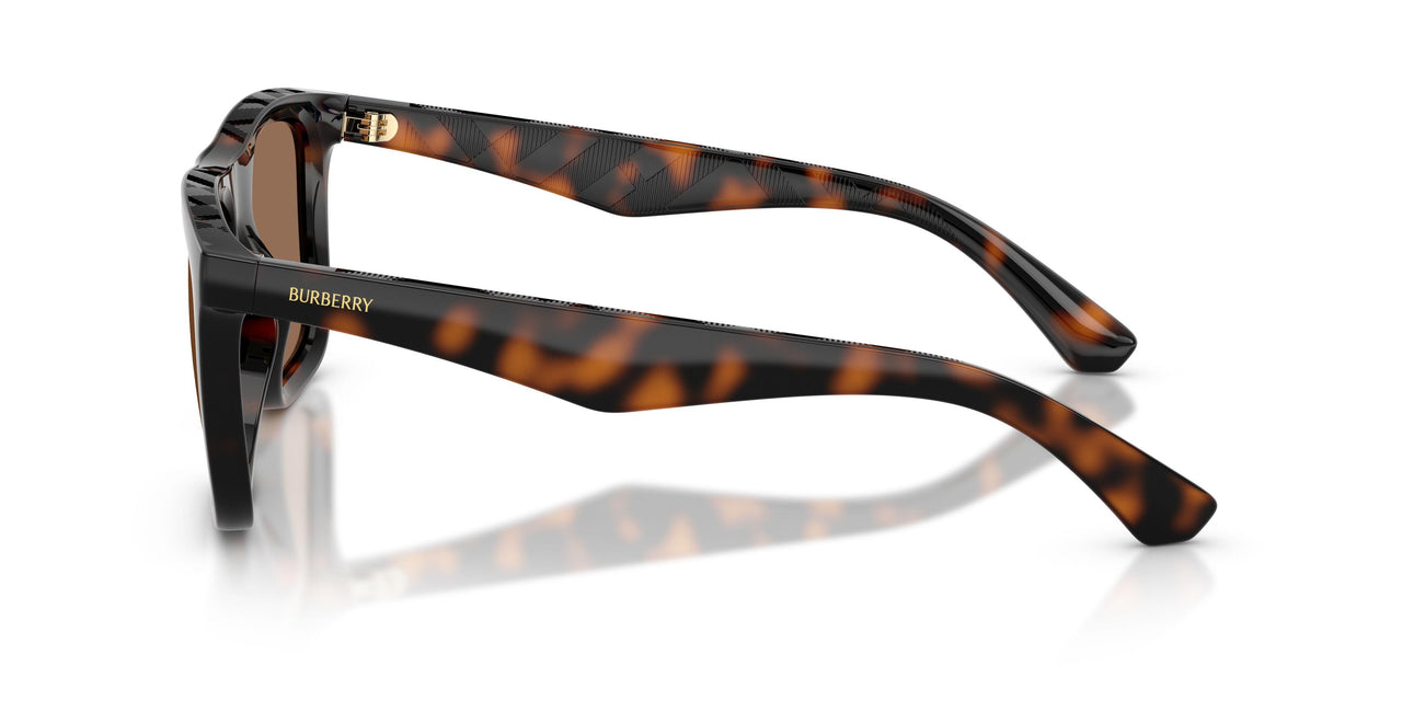 300273 - Brown - Dark Brown