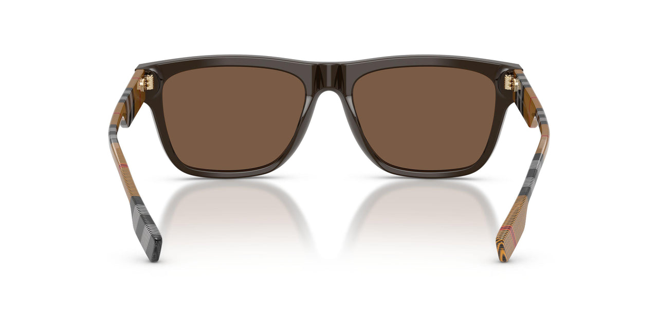 425273 - Brown - Brown