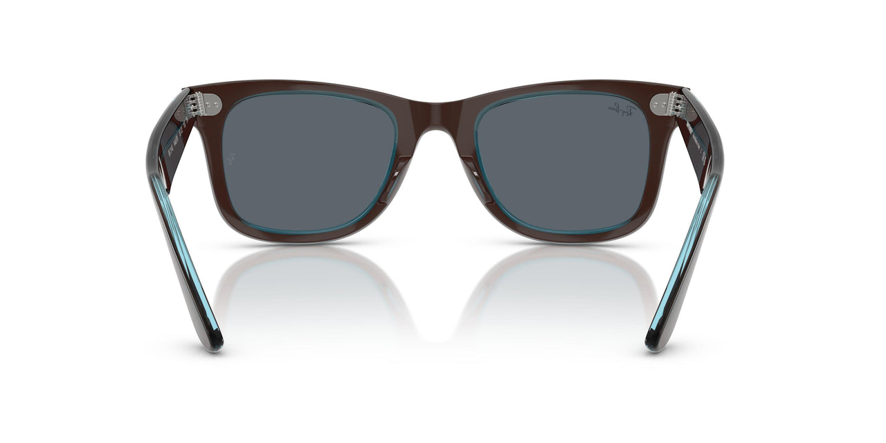 1446R5 - Brown - Blue