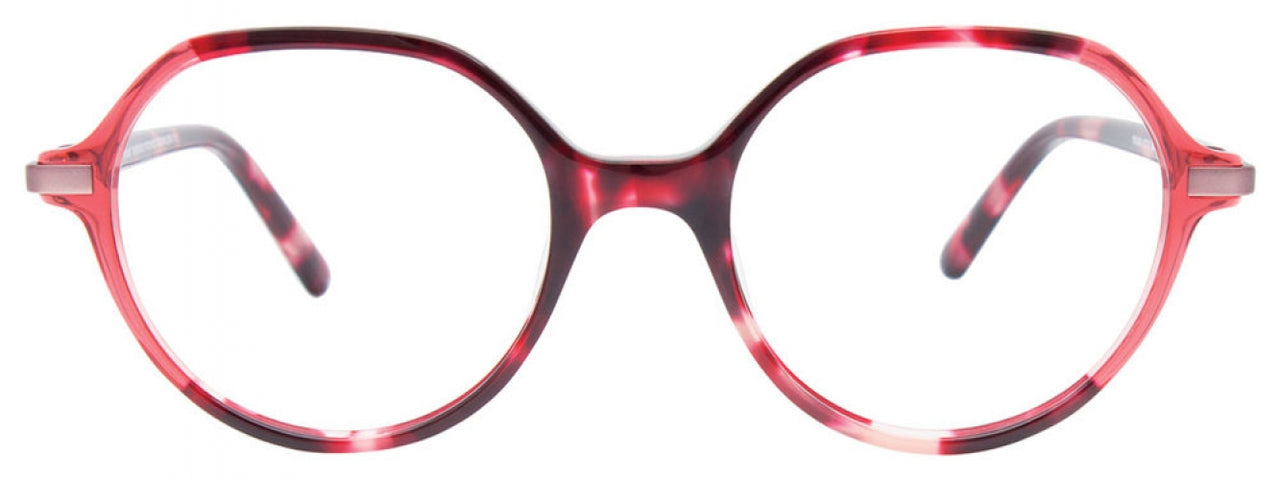 30 - Cherry Tortoise & Transparent Cherry