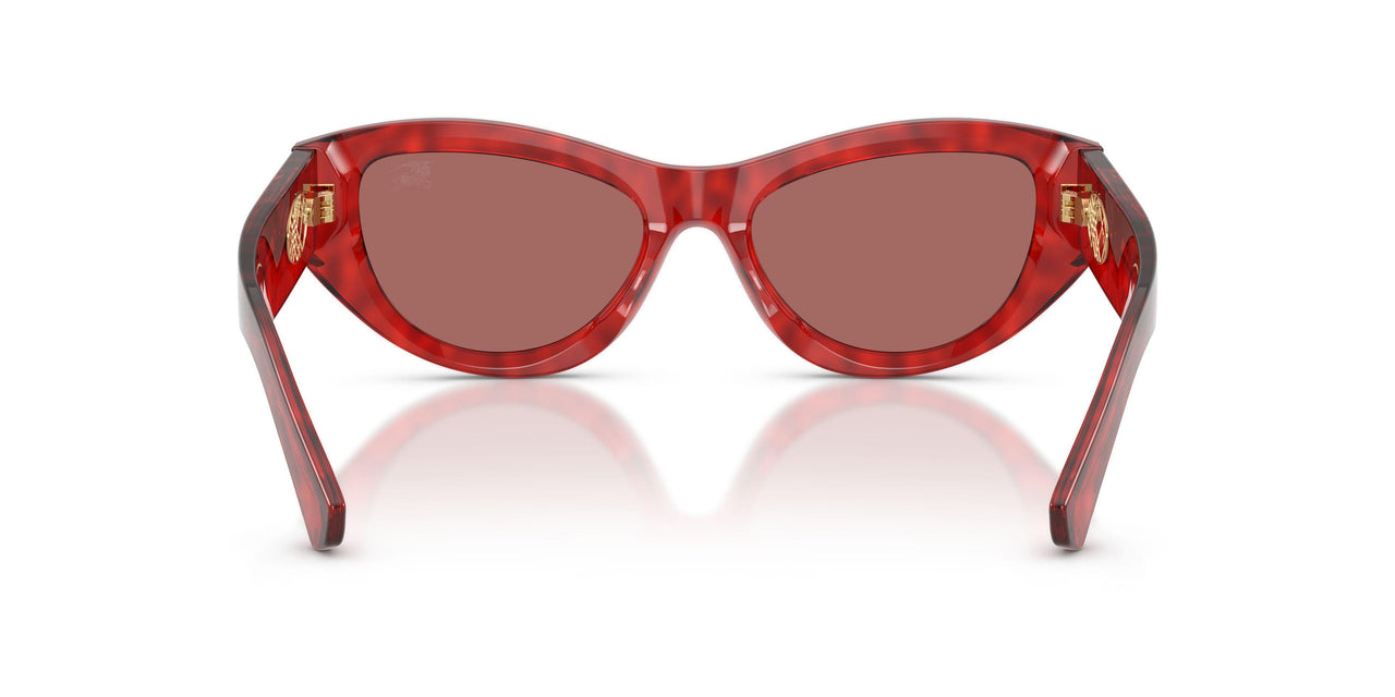 425769 - Red - Dark Violet