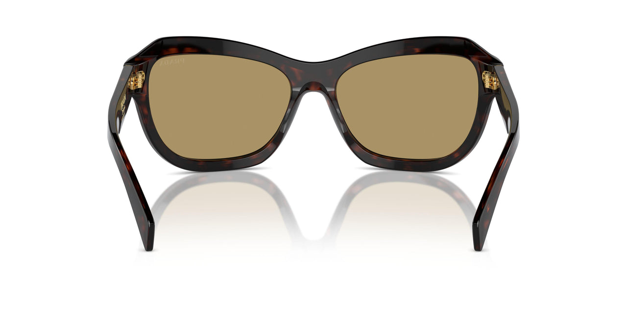 17N70G - Tortoise - Green Olive