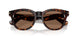 300273 - Brown - Dark Brown