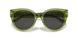 581087 - Green - Grey Solid