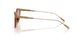 303793 - Brown - Solid Light Brown