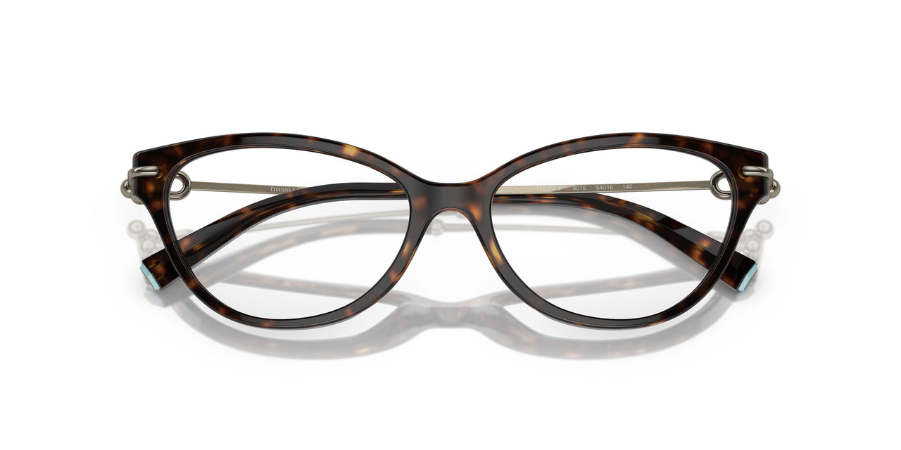 8015 - Tortoise