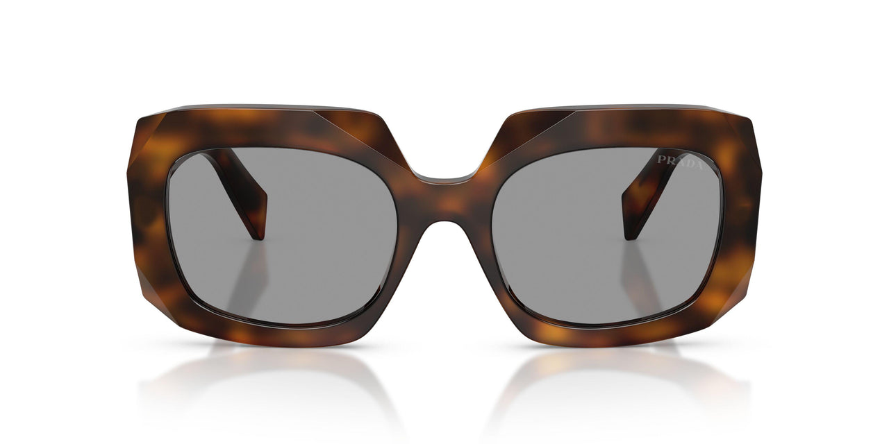 20D50Q - Havana - Grey