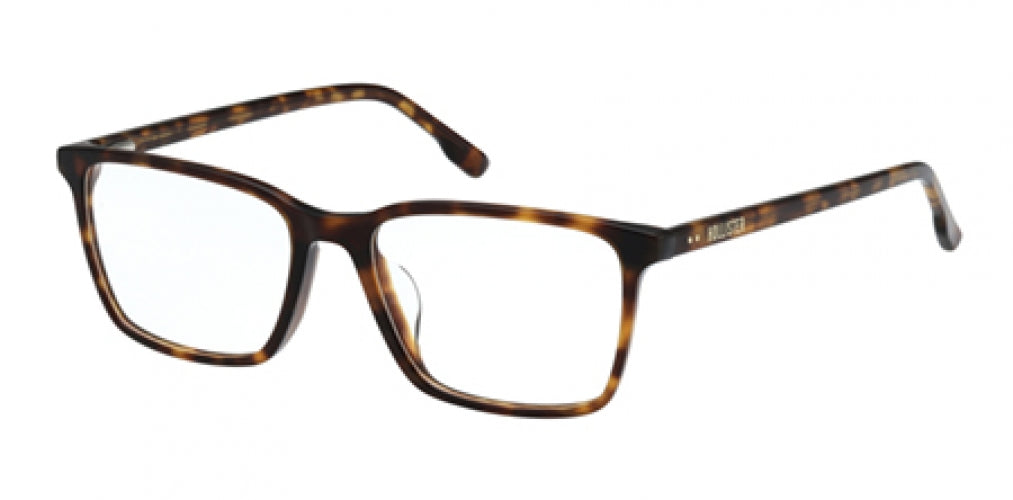 HOLLISTER 50029 Eyeglasses