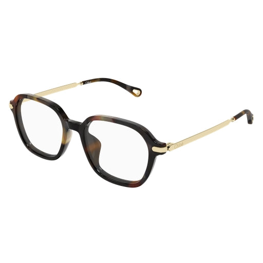 002 - Havana/Gold - Transparent