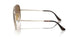 926551 - Gold - Clear & Brown