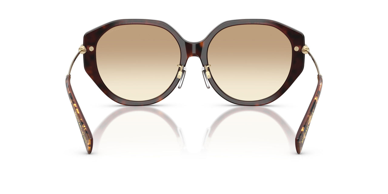 401613 - Brown - Brown Gradient