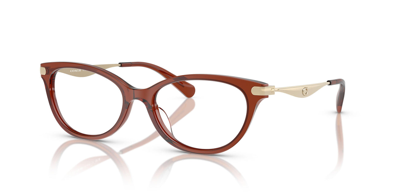 5847 - Brown