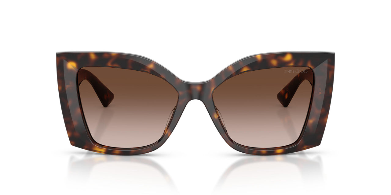 500213 - Tortoise - Brown Gradient