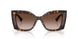 500213 - Tortoise - Brown Gradient