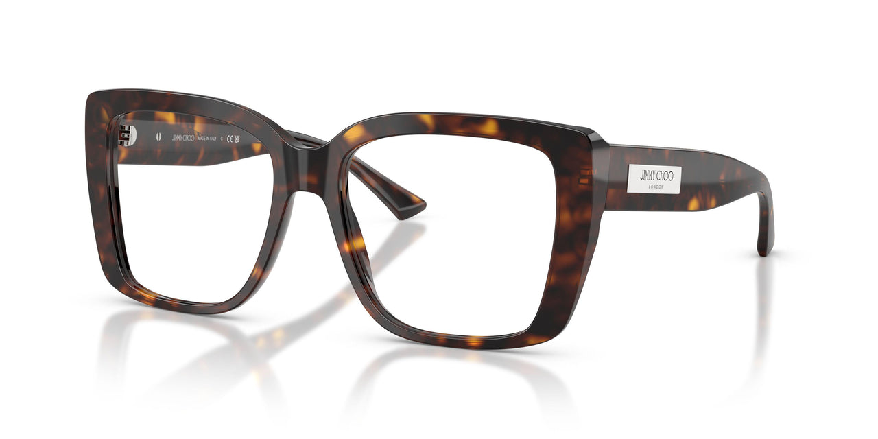 5002 - Tortoise