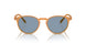 169956 - Brown - Cobalto