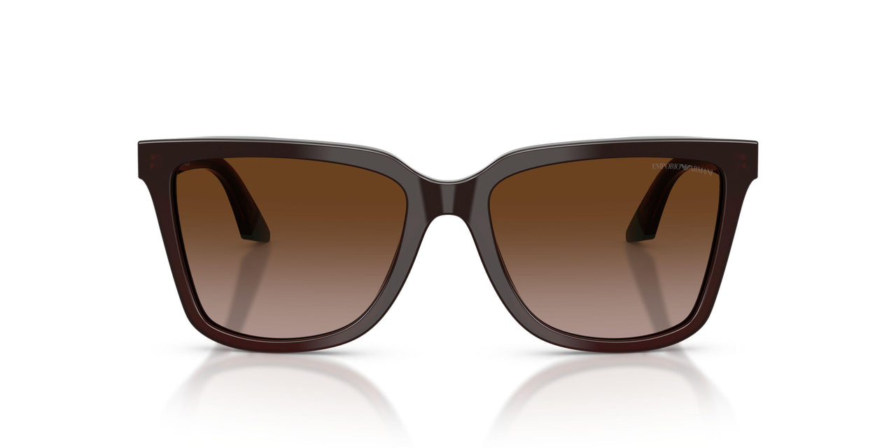 631813 - Brown - Brown Gradient