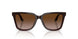 631813 - Brown - Brown Gradient