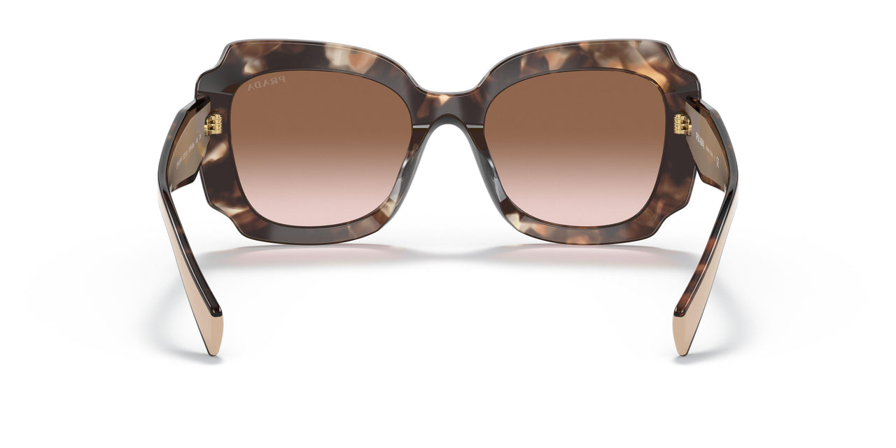 01R0A6 - Havana - Brown Gradient