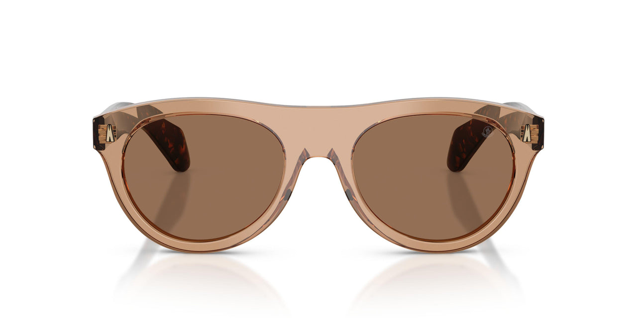 303773 - Brown - Dark Brown