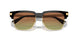 GB1/E8 - Black - Green/brown