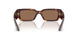 100773 - Tortoise - Brown