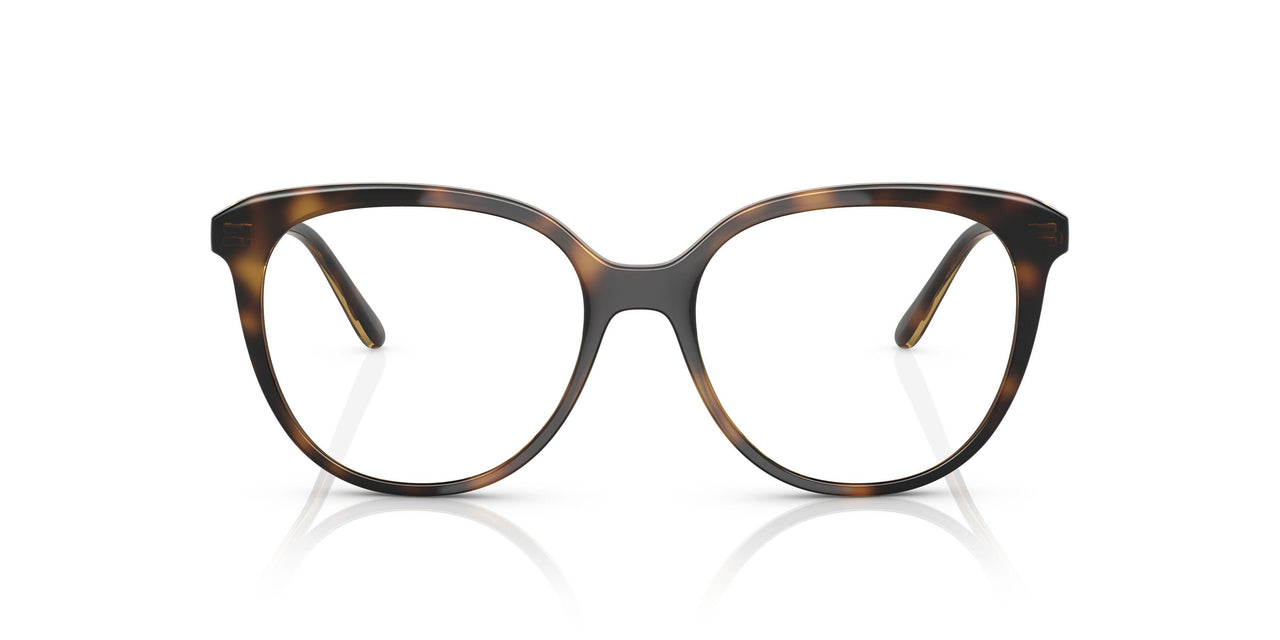 W656 - Brown