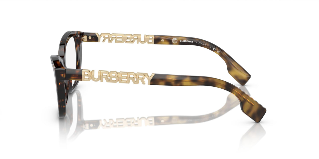 3002 - Brown