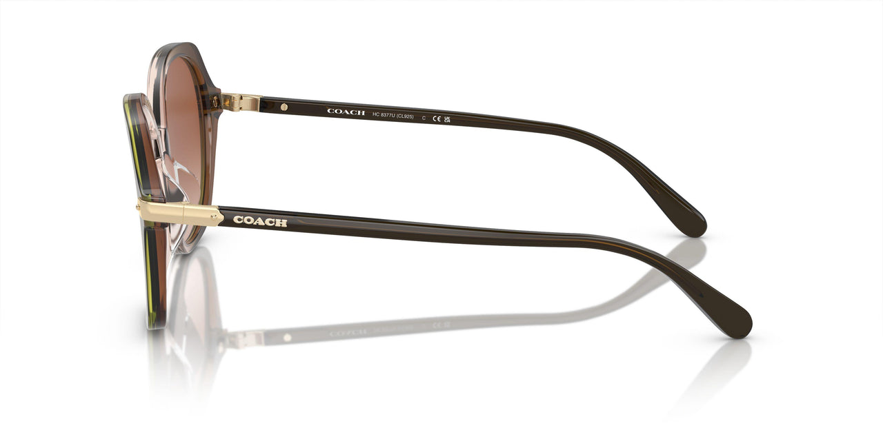 540013 - Olive Beige Gradient - Brown Gradient