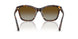 1002T5 - Tortoise - Polar Brown Gradient