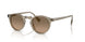 1745GN - Green - Sandstone Gradient Polarized