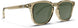 206042 Sydney Sunglasses